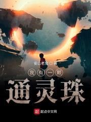 我有一颗通灵珠封面