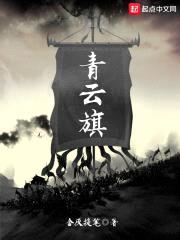 青云旗封面