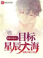 宠物小精灵之目标星辰大海封面