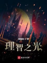 理智之光封面