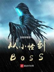从小怪到BOSS封面