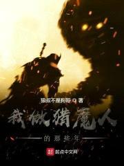 我做猎魔人的那些年封面