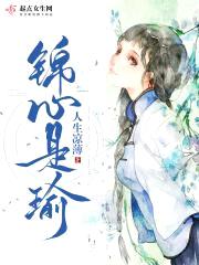 锦心是瑜封面