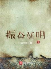 振奋新明封面