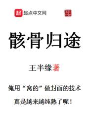 骸骨归途封面