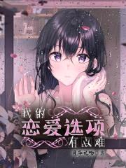 我的恋爱选项有点难封面