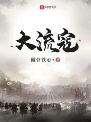 大流寇封面