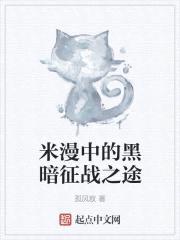 米漫中的黑暗征战之途封面