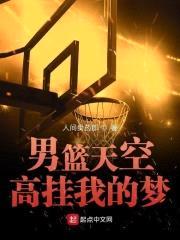 男篮天空高挂我的梦封面