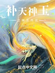 补天神玉封面