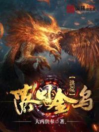落日金乌封面
