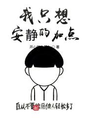 我只想安静的加点封面