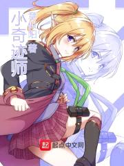小奇迹师封面