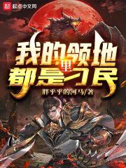 我的领地里都是刁民封面