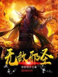 无敌邪圣封面