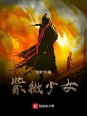 紫微秘境封面