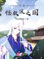 开局拯救波之国封面