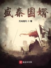 盛秦国婿封面