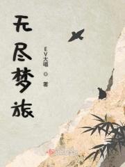 无尽梦旅封面