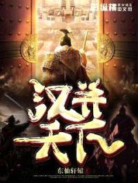 汉并天下封面