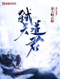 弑天道君封面