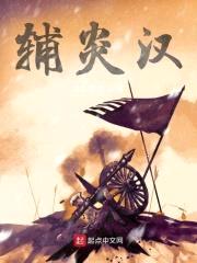 辅炎汉封面