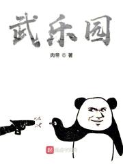 武乐园封面