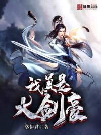 我真是大剑豪封面