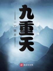 一刀劈开九重天封面