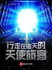 行走在诸天的天使旅客封面