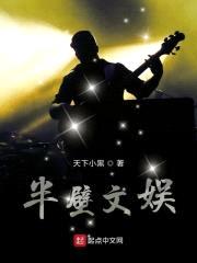 半壁文娱封面