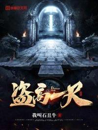 盗高一尺封面