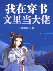 我在穿书文里当大佬封面
