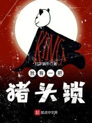 我有一把猪头锁封面