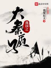 战国之大秦质子封面