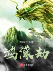 鸿濛劫封面