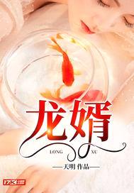 龙婿封面