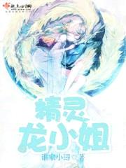 精灵龙小姐封面