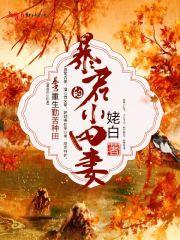 暴君的小田妻封面