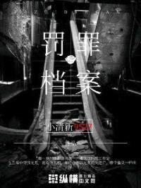 罚罪档案封面