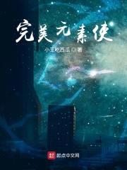 完美元素使封面