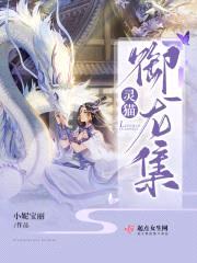 灵猫御龙集封面