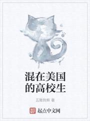 混在美国的高校生封面