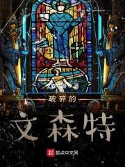 破碎的文森特封面
