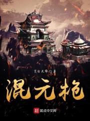 混元枪封面
