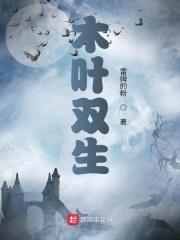 木叶双生封面
