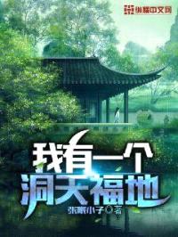 我有一个洞天福地封面