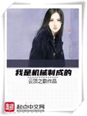 我是谁制成的机械封面