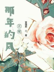 那年的风正暖封面