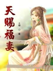 天赐福妻封面